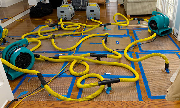 Professional Crawl Space Water Removal technician working in Gillsville, GA